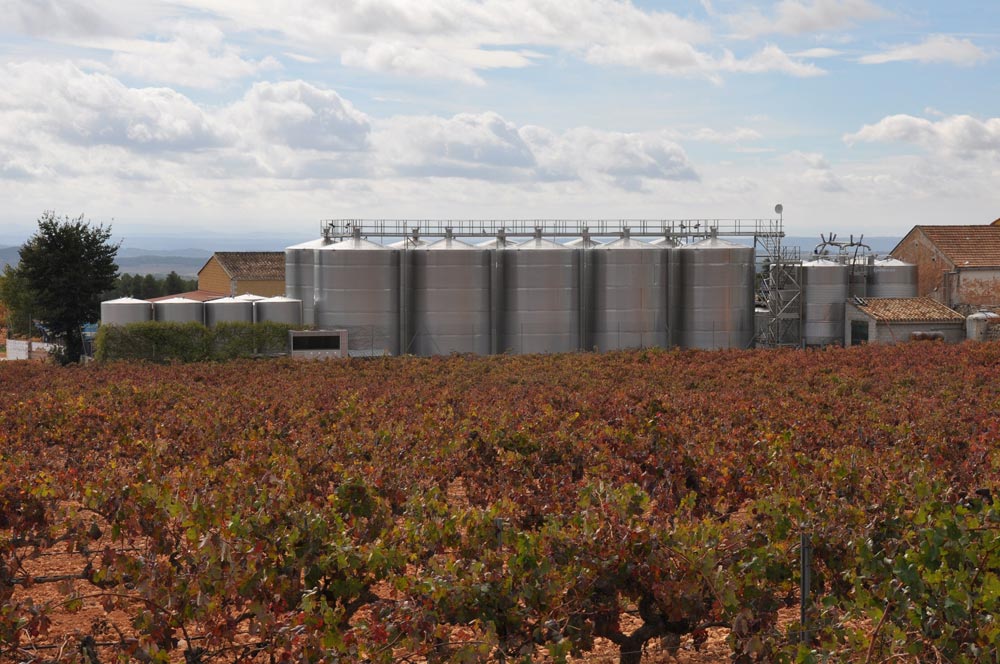 Control de temperatura en bodegas: cómo afecta a la calidad del vino